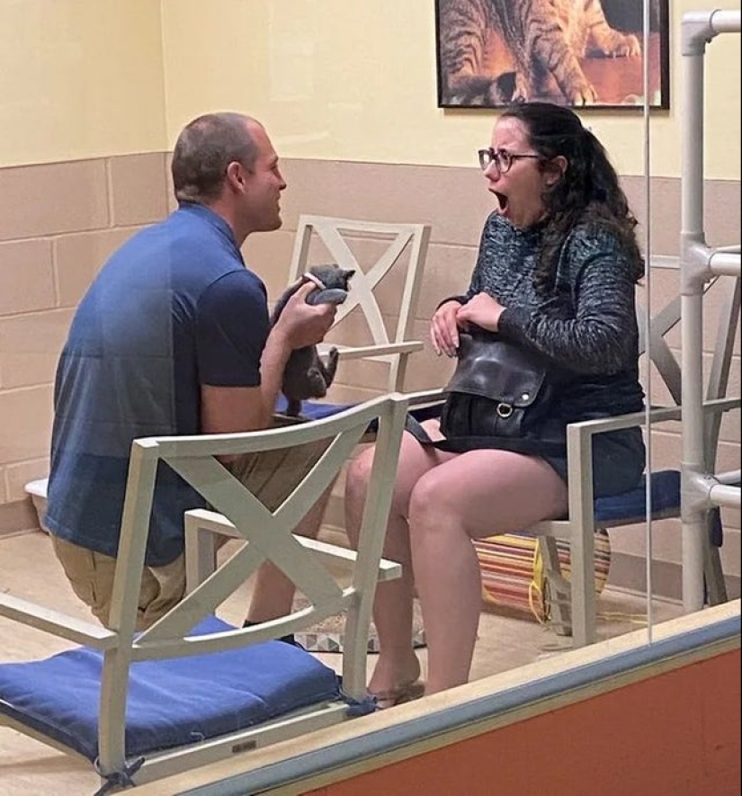 22 photos where the level of mimicry is off the scale 22 photos where the level of mimicry is off the scale