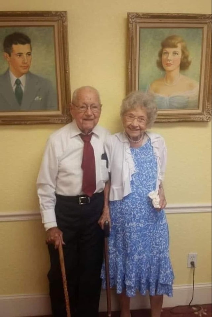 22 photos where the level of mimicry is off the scale 22 photos where the level of mimicry is off the scale