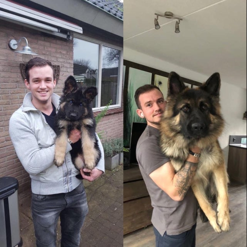 22 photos where the level of mimicry is off the scale 22 photos where the level of mimicry is off the scale