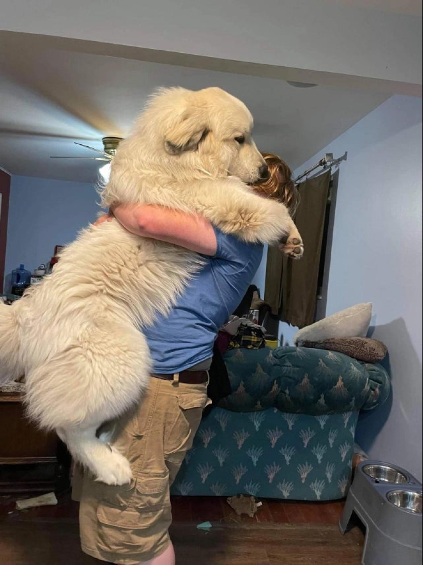 22 photos where the level of mimicry is off the scale 22 photos where the level of mimicry is off the scale