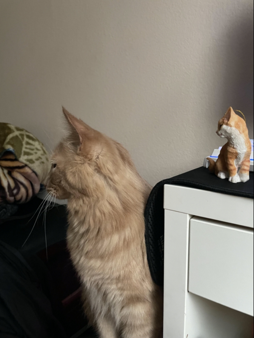 22 photos where you can't tell where life is and where art is