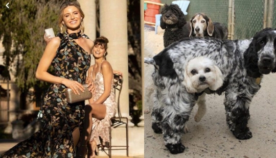 22 photos with fun optical illusions that will confuse any