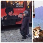 22 pictures taken at the right moment