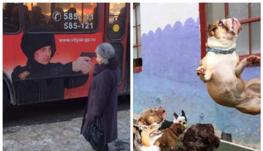 22 pictures taken at the right moment