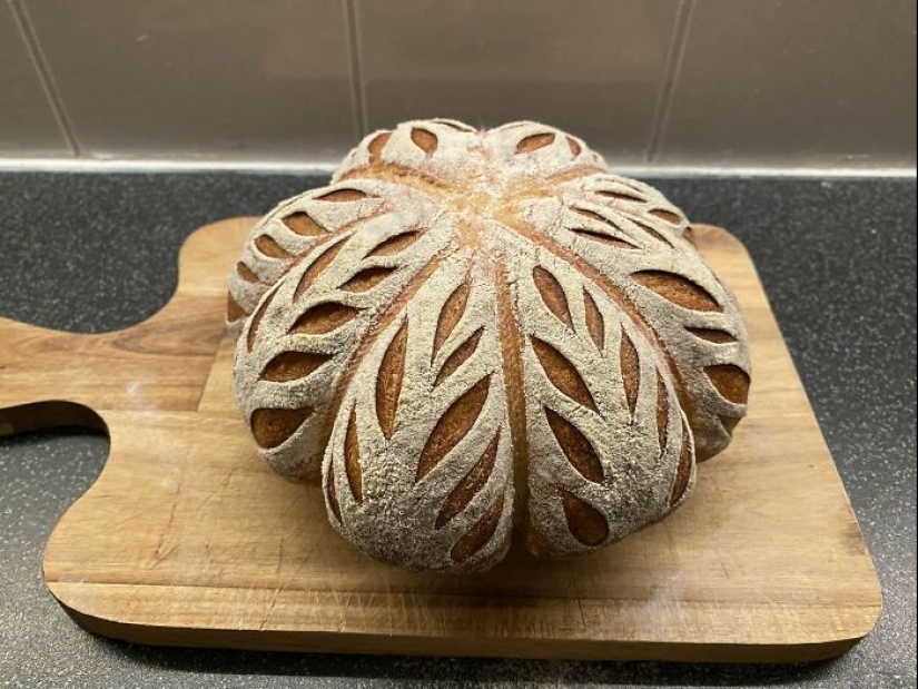 22 platos que harán feliz a cualquier perfeccionista 22 platos que harán feliz a cualquier perfeccionista