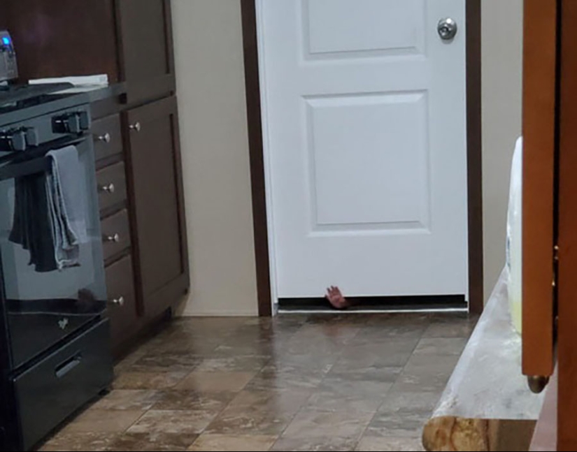 22 razones para abastecerse de sedantes si hay niños en la casa 22 razones para abastecerse de sedantes si hay niños en la casa