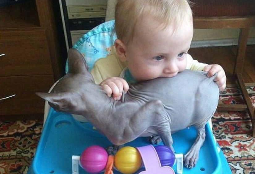 22 razones para abastecerse de sedantes si hay niños en la casa 22 razones para abastecerse de sedantes si hay niños en la casa