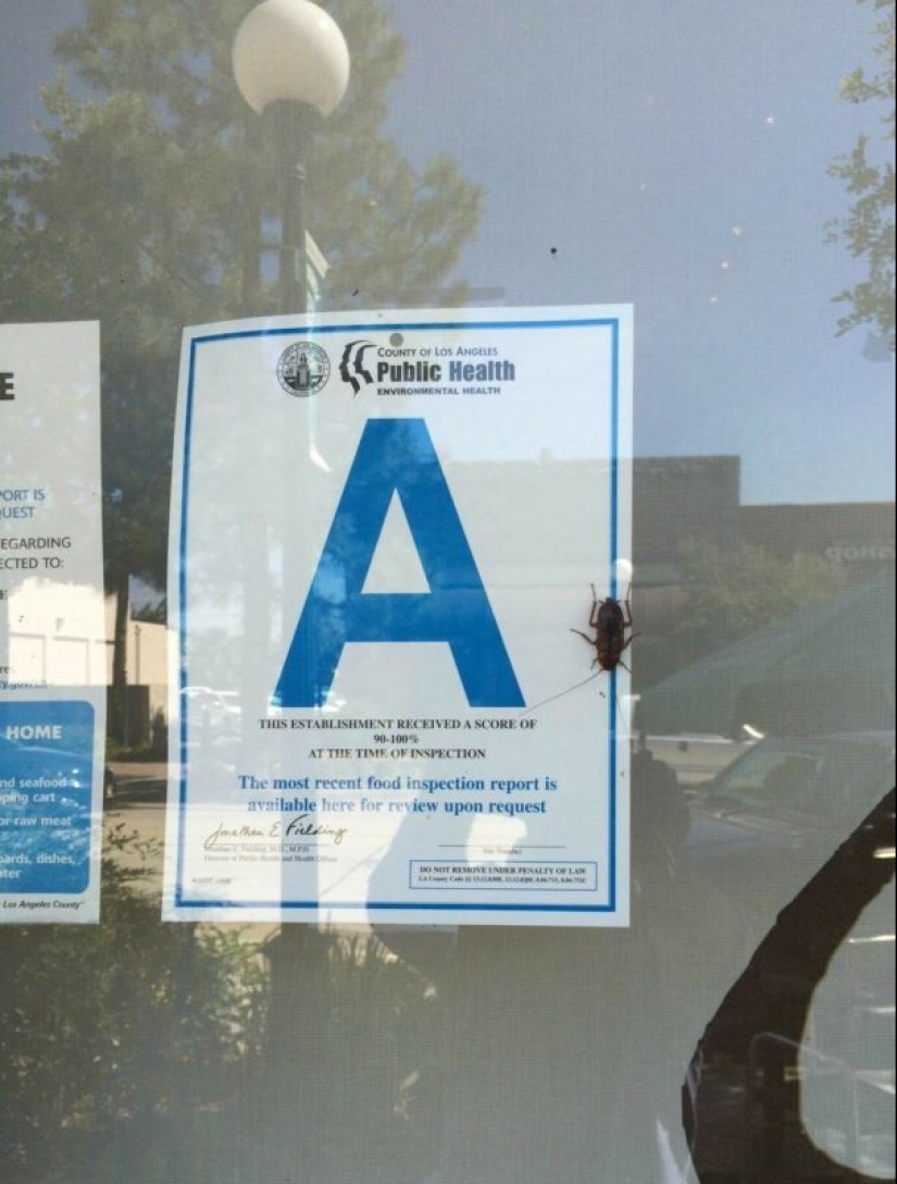 22 situaciones irónicas llenas de contradicción y absurdo 22 situaciones irónicas llenas de contradicción y absurdo