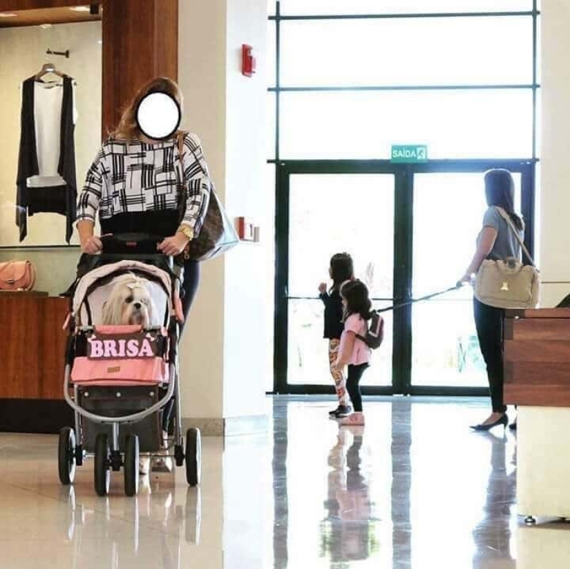 22 situaciones irónicas llenas de contradicción y absurdo 22 situaciones irónicas llenas de contradicción y absurdo