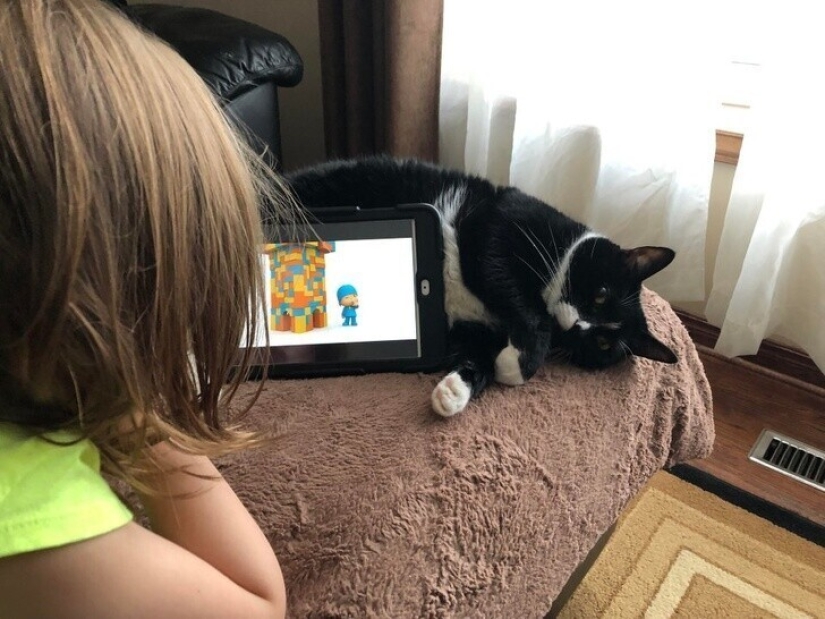 22 stupid inventions that, oddly enough, work 22 stupid inventions that, oddly enough, work