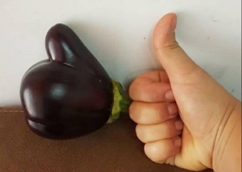 22 surprises discovered in everyday life 22 surprises discovered in everyday life