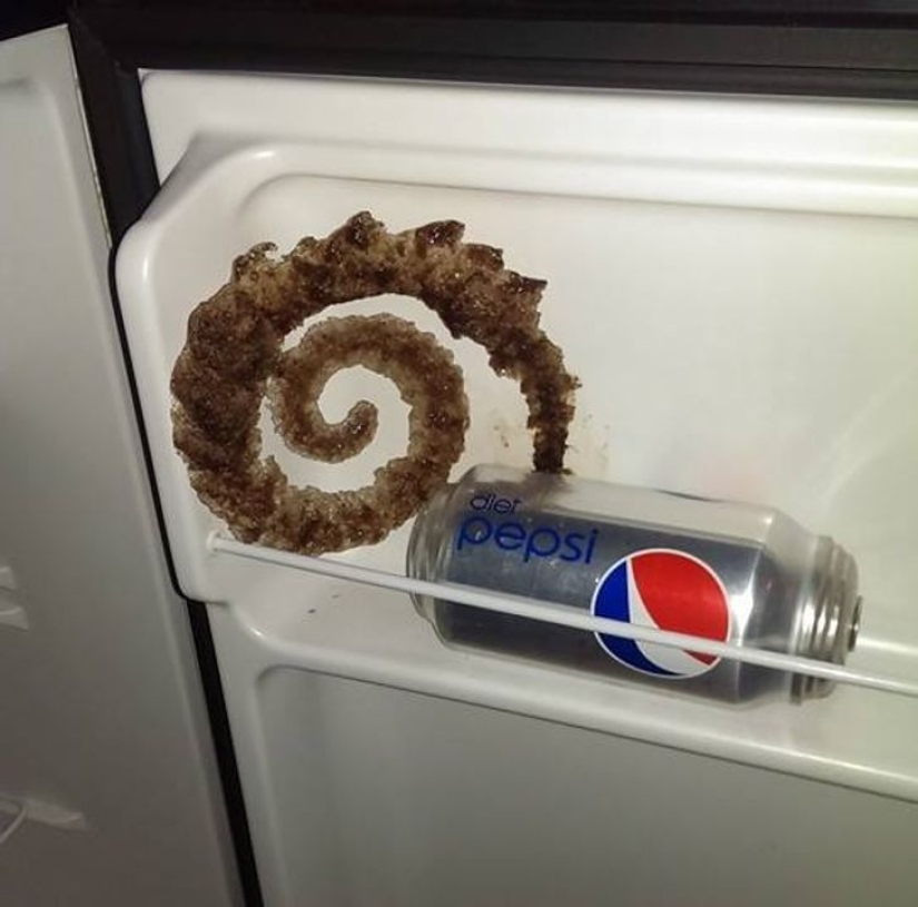 22 surprises discovered in everyday life 22 surprises discovered in everyday life