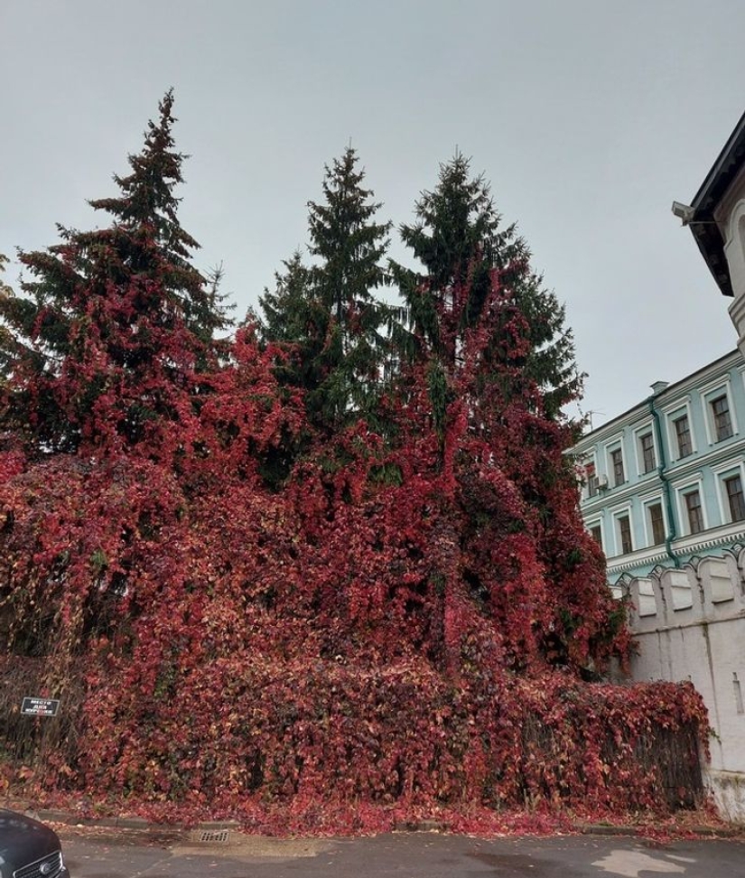 22 surprises discovered in everyday life 22 surprises discovered in everyday life