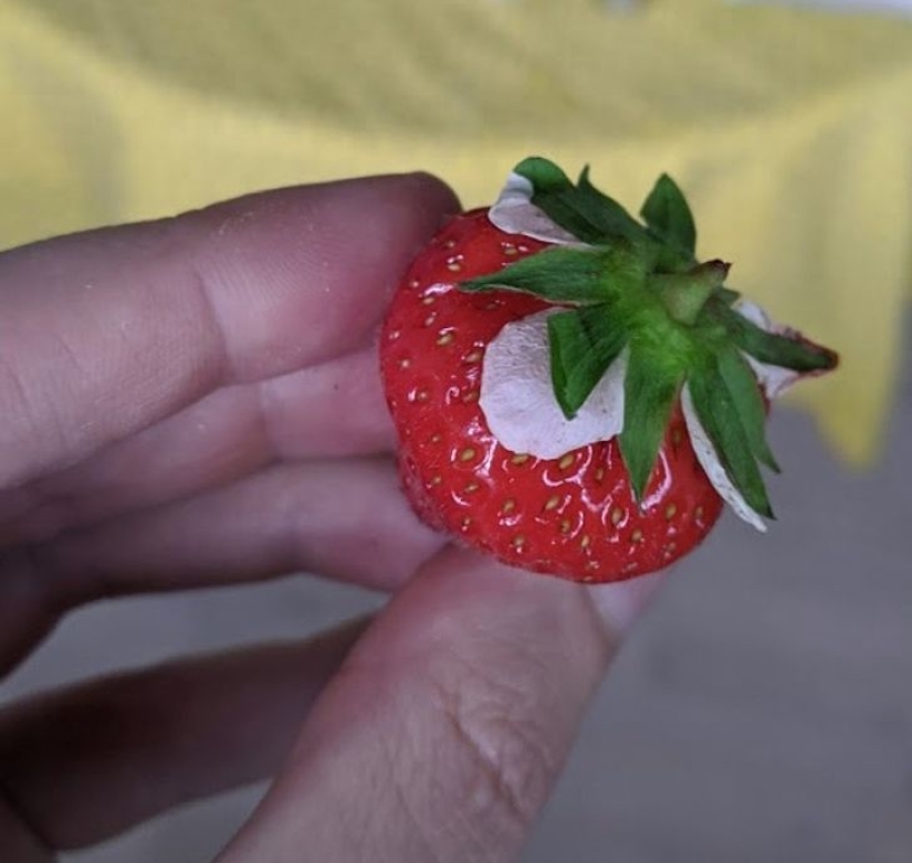 22 surprises discovered in everyday life 22 surprises discovered in everyday life