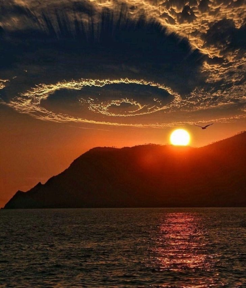 22 surprises discovered in everyday life 22 surprises discovered in everyday life