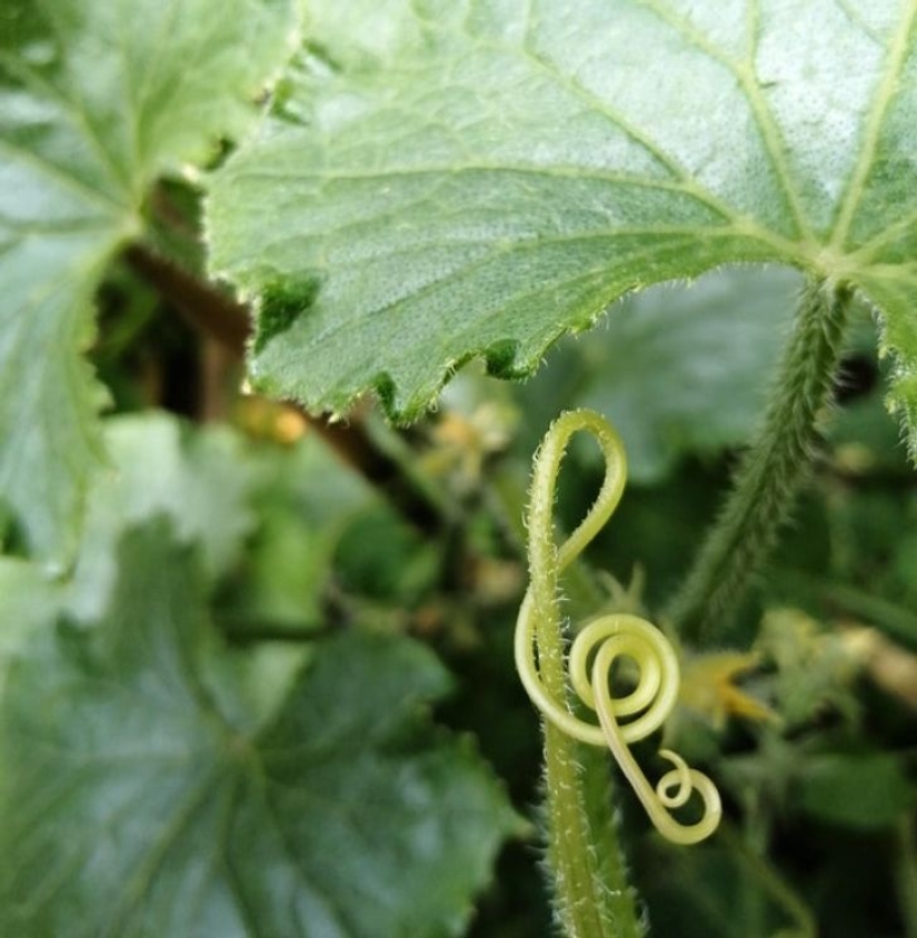 22 surprises discovered in everyday life 22 surprises discovered in everyday life