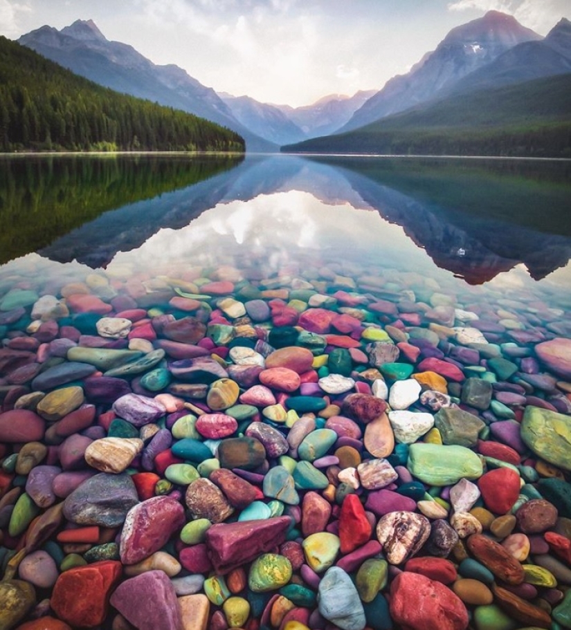 22 surprises discovered in everyday life 22 surprises discovered in everyday life