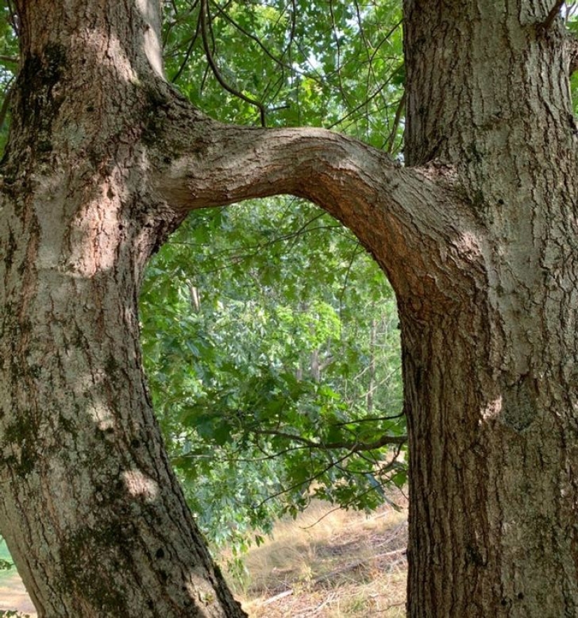 22 surprises discovered in everyday life 22 surprises discovered in everyday life