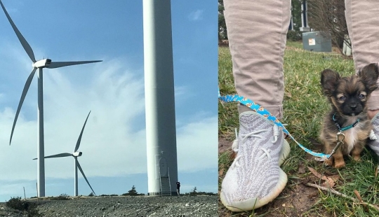 22 things, the size of which is realized only in comparison