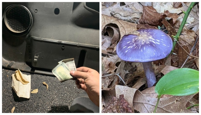 22 unexpected discoveries shared by netizens 22 unexpected discoveries shared by netizens