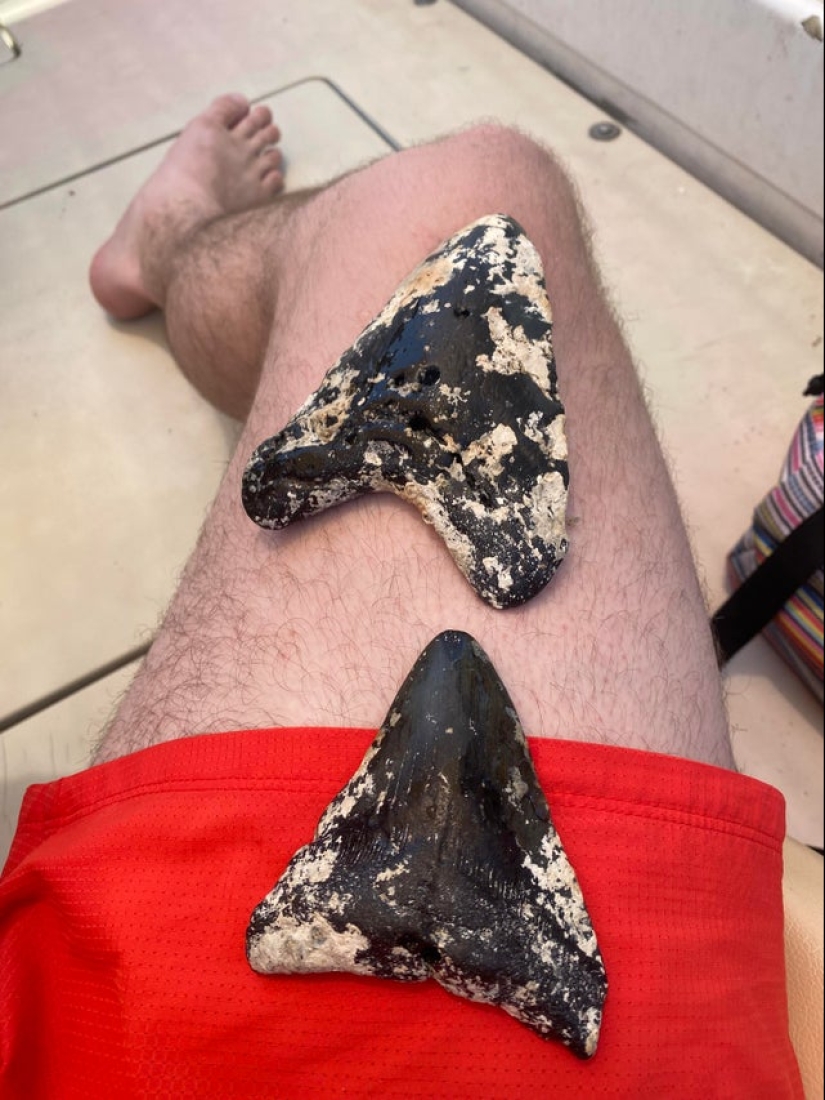 22 unexpected discoveries shared by netizens 22 unexpected discoveries shared by netizens