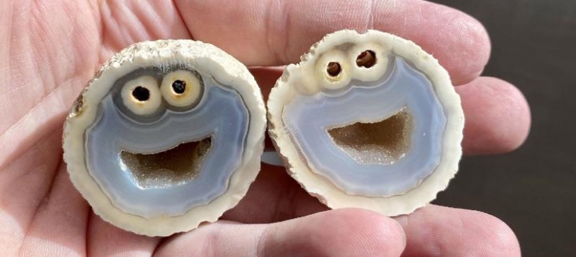 22 unexpected discoveries shared by netizens 22 unexpected discoveries shared by netizens