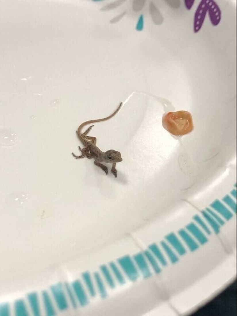 22 unexpected discoveries shared by netizens 22 unexpected discoveries shared by netizens