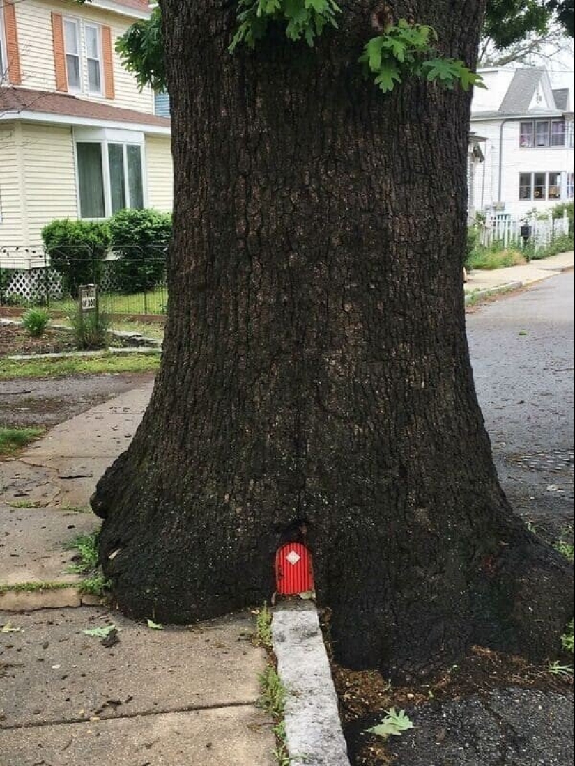 22 unexpected discoveries shared by netizens 22 unexpected discoveries shared by netizens