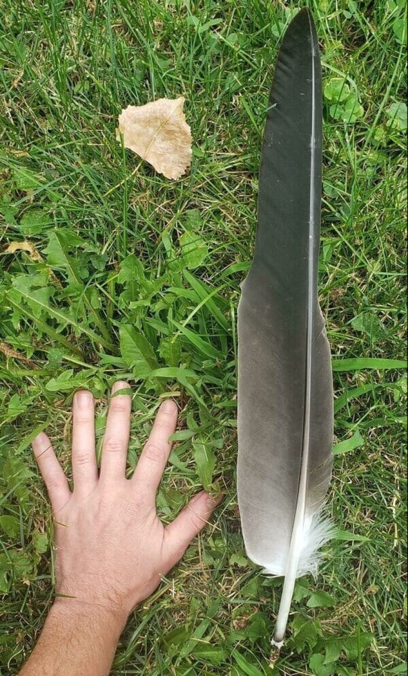 22 unexpected discoveries shared by netizens 22 unexpected discoveries shared by netizens