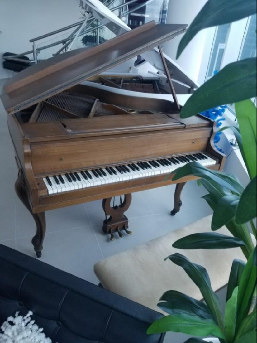 22 unkillable cosas que es tiempo de retirarse, y que están siendo hermosa 22 unkillable cosas que es tiempo de retirarse, y que están siendo hermosa