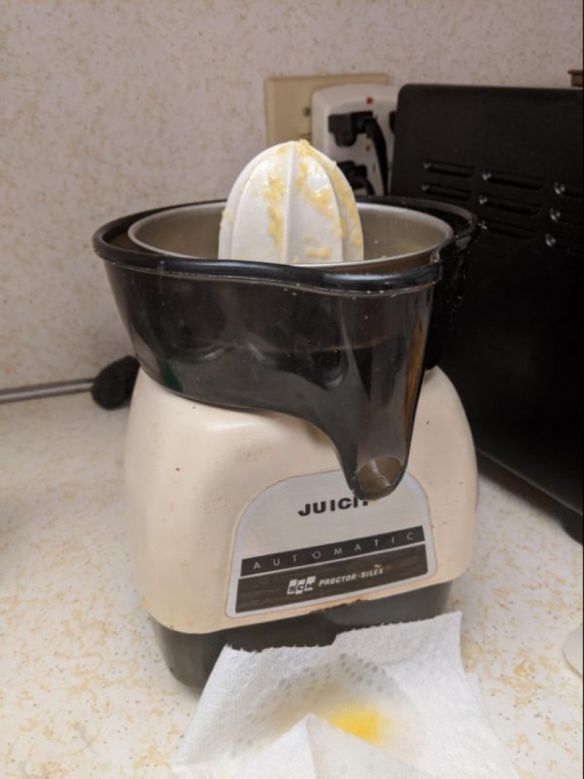 22 unkillable things that it is time to retire, and they're still beautiful 22 unkillable things that it is time to retire, and they're still beautiful