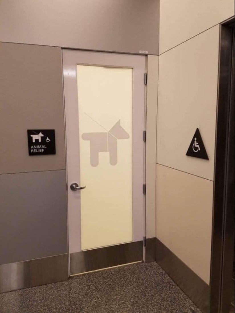 22 unusual things created by designers and craftsmen for animals 22 unusual things created by designers and craftsmen for animals