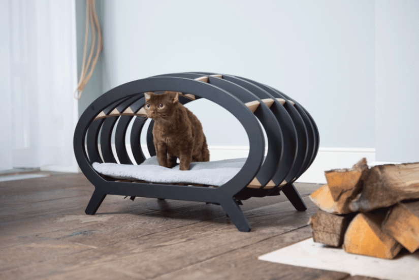 22 unusual things created by designers and craftsmen for animals 22 unusual things created by designers and craftsmen for animals