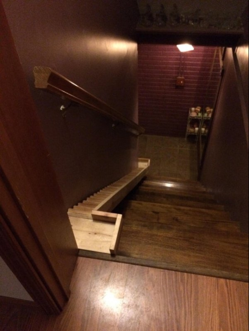 22 unusual things created by designers and craftsmen for animals 22 unusual things created by designers and craftsmen for animals