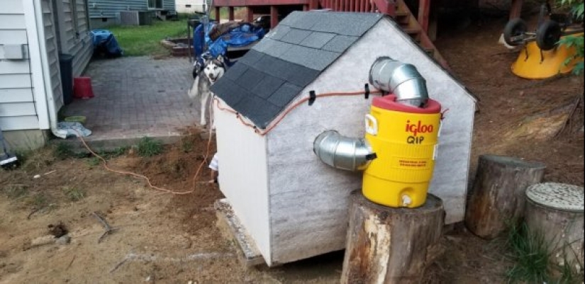 22 unusual things created by designers and craftsmen for animals 22 unusual things created by designers and craftsmen for animals