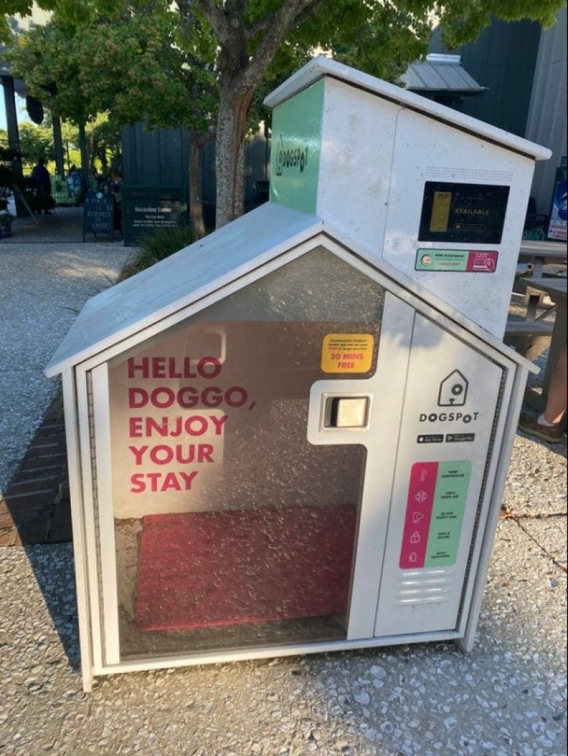 22 unusual things created by designers and craftsmen for animals 22 unusual things created by designers and craftsmen for animals