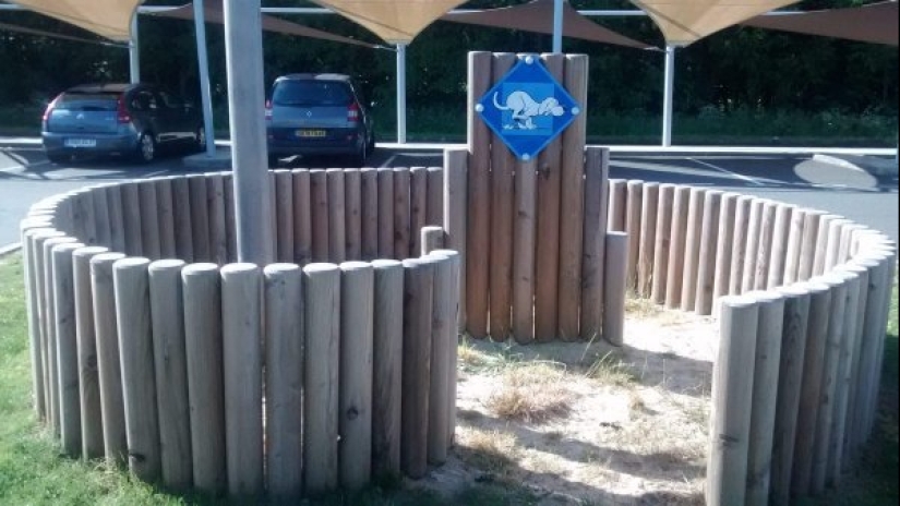 22 unusual things created by designers and craftsmen for animals 22 unusual things created by designers and craftsmen for animals