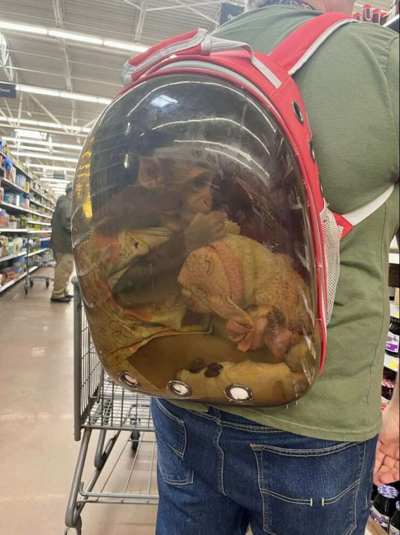 22 weirdos from Walmart in their Natural Habitat 22 weirdos from Walmart in their Natural Habitat