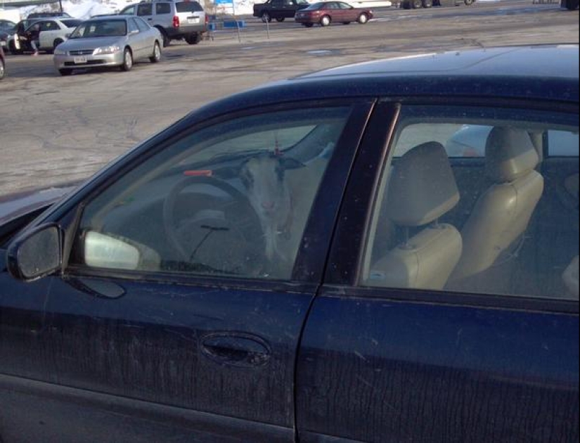 22 weirdos from Walmart in their Natural Habitat 22 weirdos from Walmart in their Natural Habitat