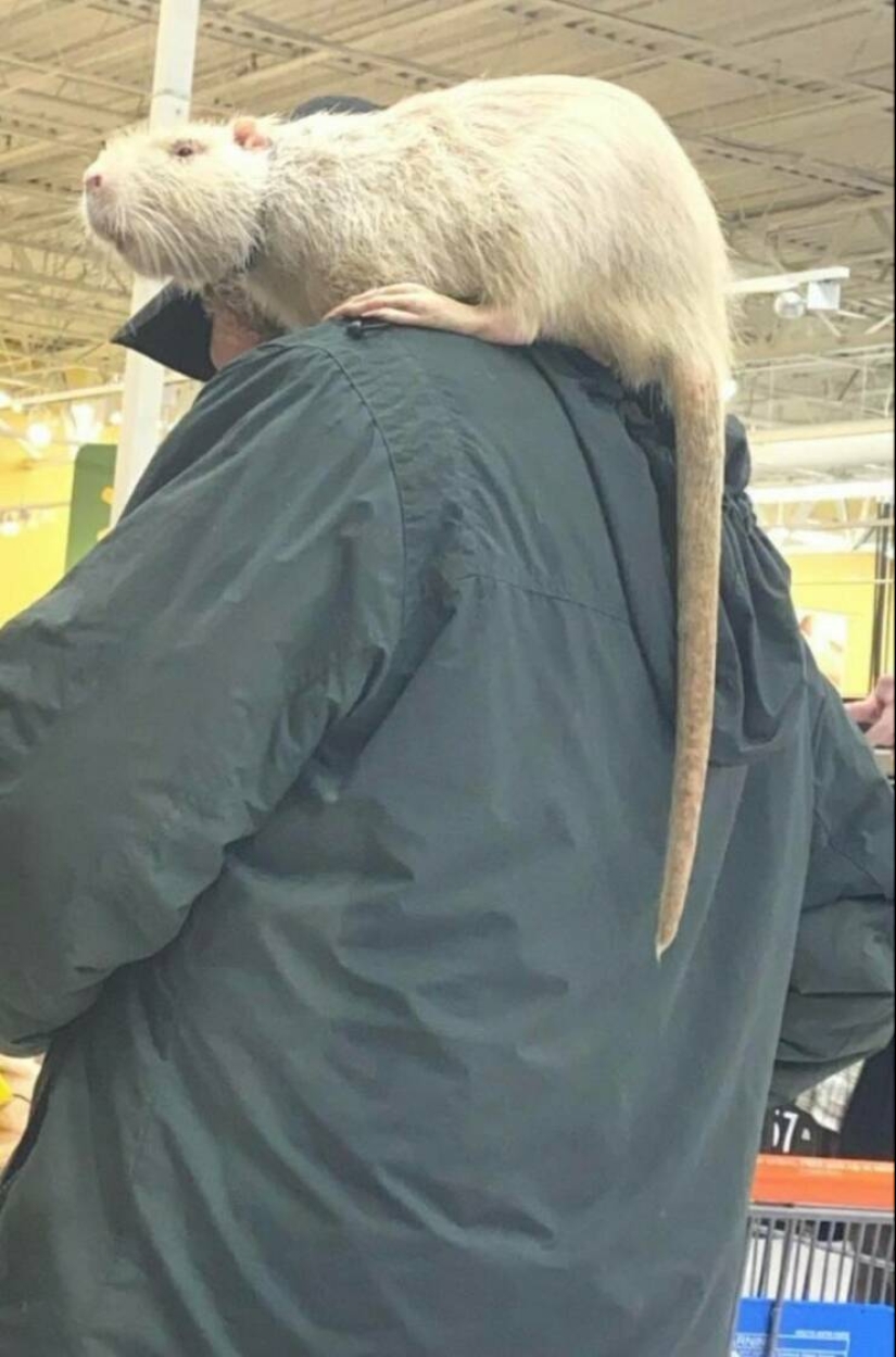 22 weirdos from Walmart in their Natural Habitat 22 weirdos from Walmart in their Natural Habitat