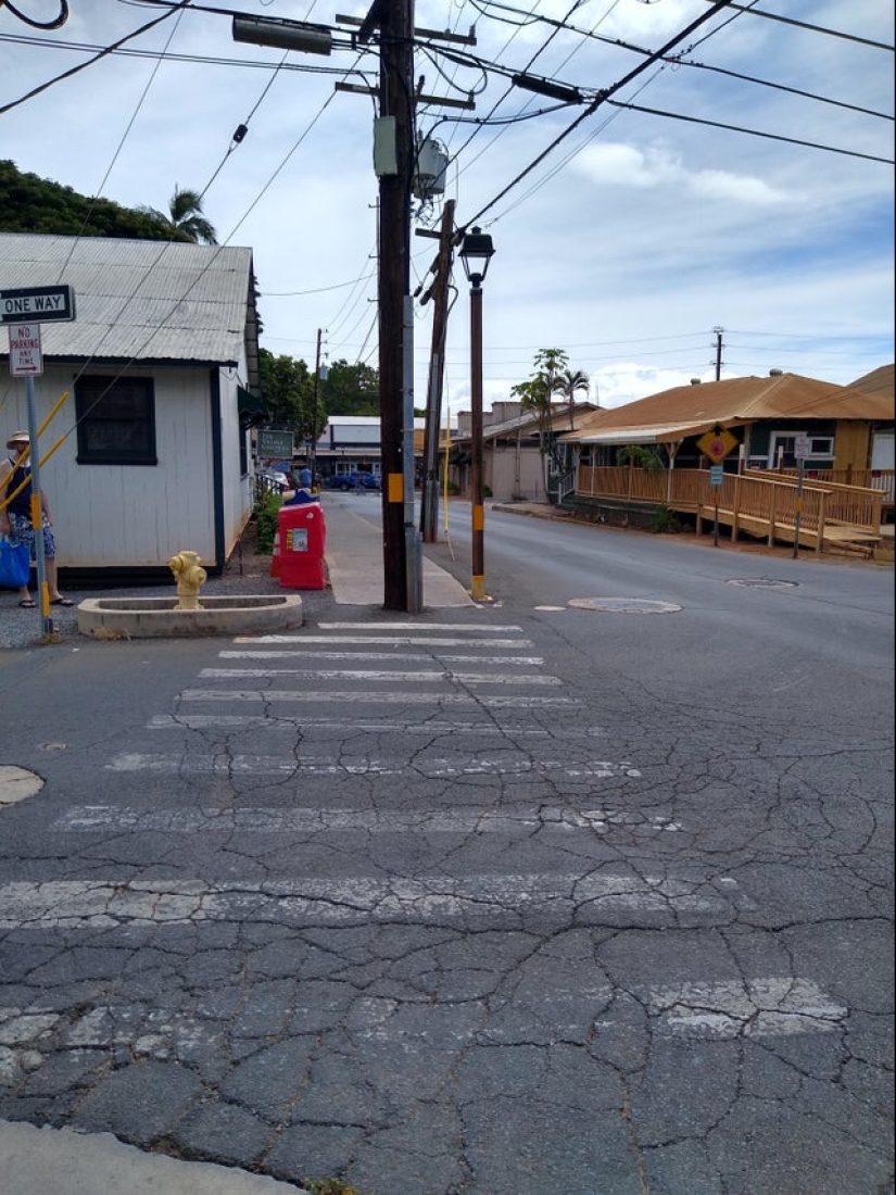 22 would-be designers and their "works" 22 would-be designers and their "works"