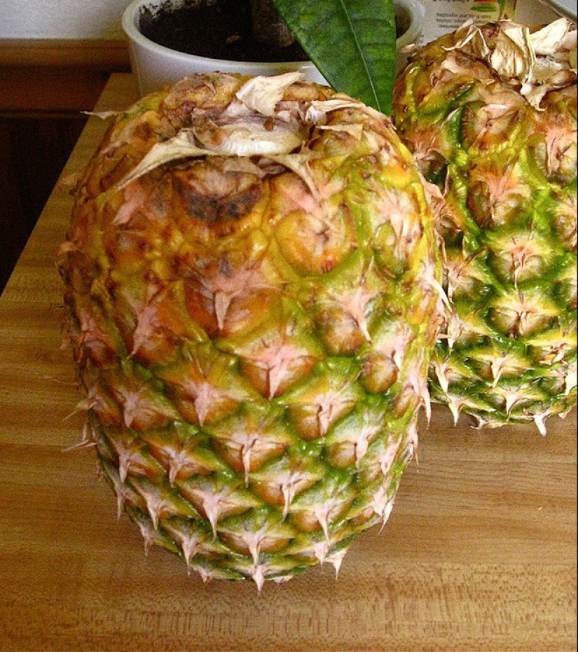 23 astuto vida en la cocina hack de una revista de hombres