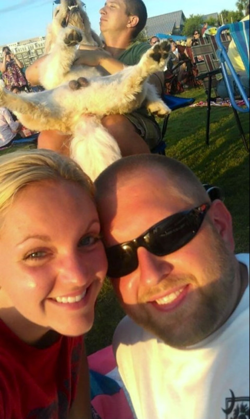 23 dogs who are photobombing geniuses 23 dogs who are photobombing geniuses