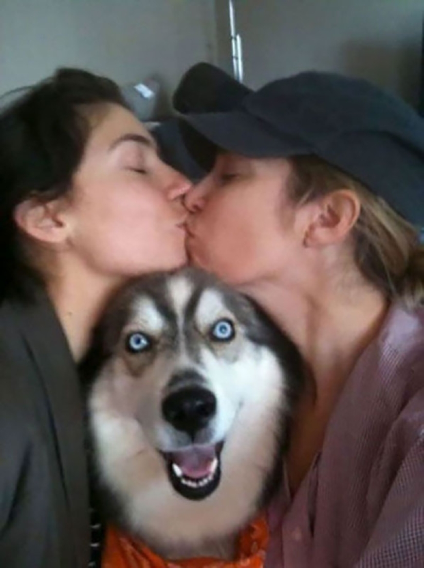 23 dogs who are photobombing geniuses 23 dogs who are photobombing geniuses