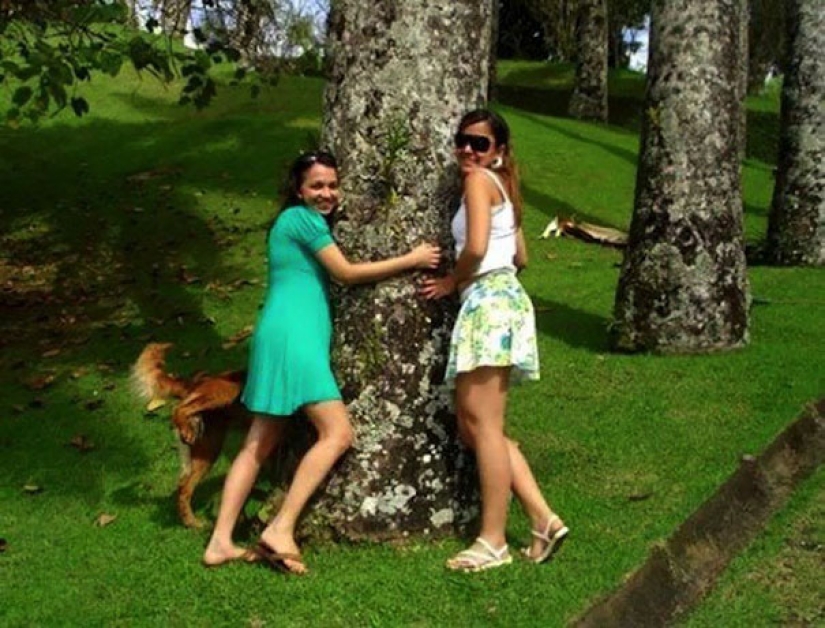 23 dogs who are photobombing geniuses 23 dogs who are photobombing geniuses