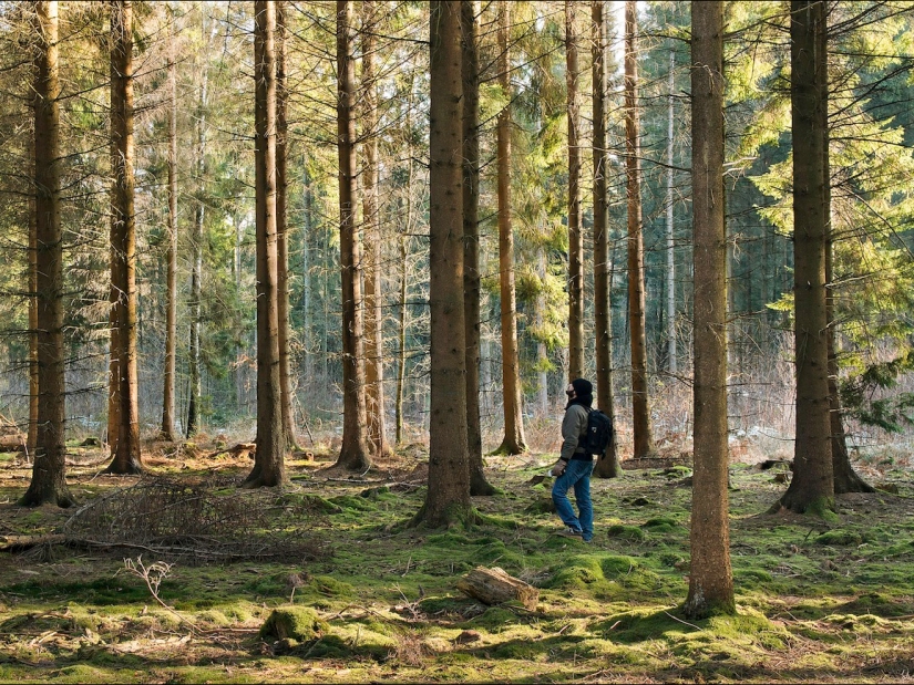 23 hechos desconocidos sobre nuestro mundo que te harán pensar 23 hechos desconocidos sobre nuestro mundo que te harán pensar