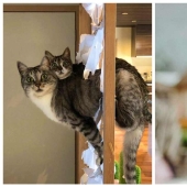 23 imágenes positivas que harán su día un poco mejor