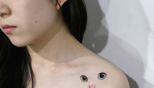 23 mejores ideas de tatuajes para amantes dedicados de las focas