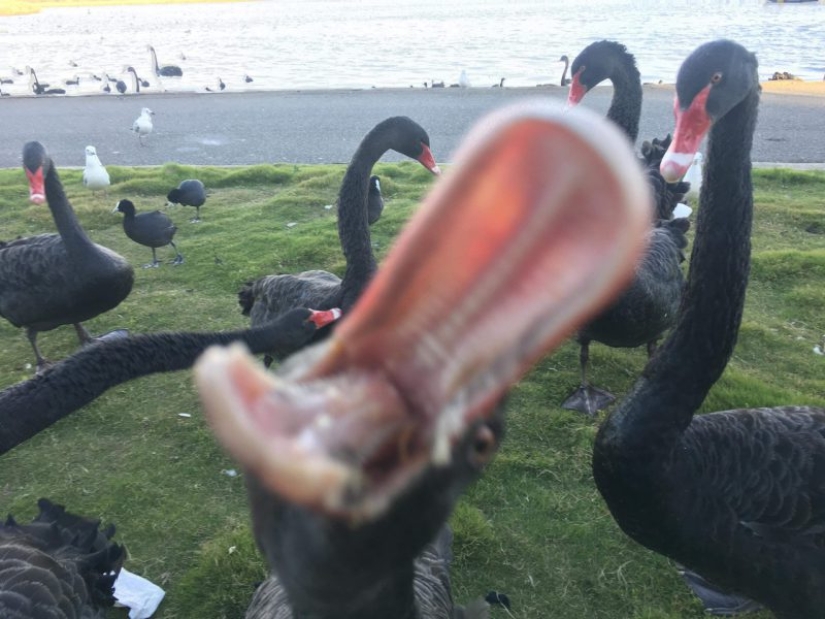 23 pictures taken a second before the inevitable