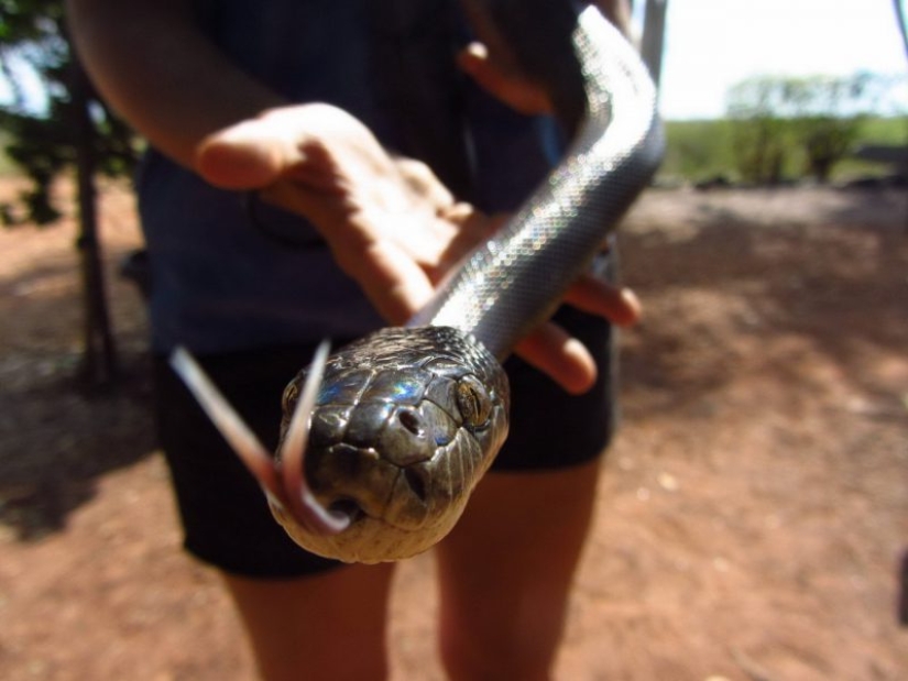 23 pictures taken a second before the inevitable